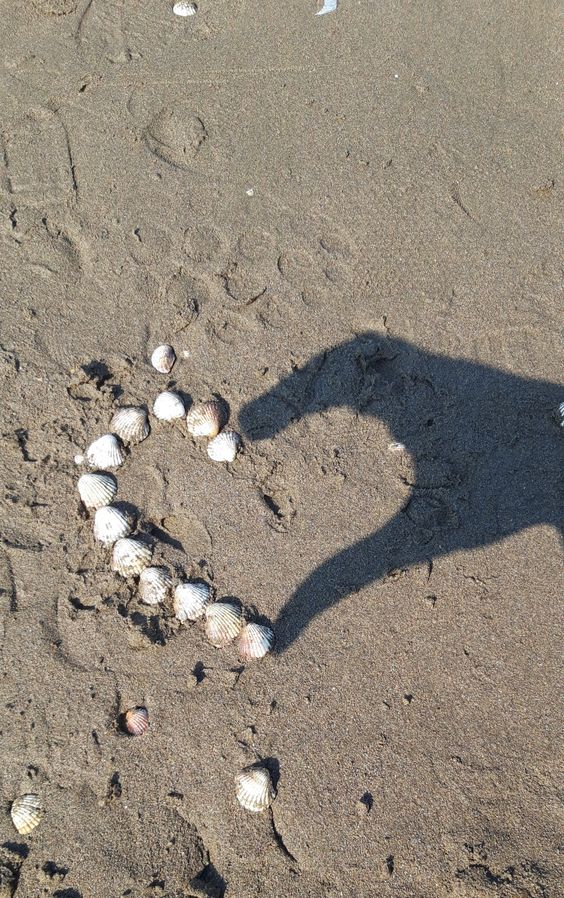 Beach Stories ideias de fotos para Instagram com conchas