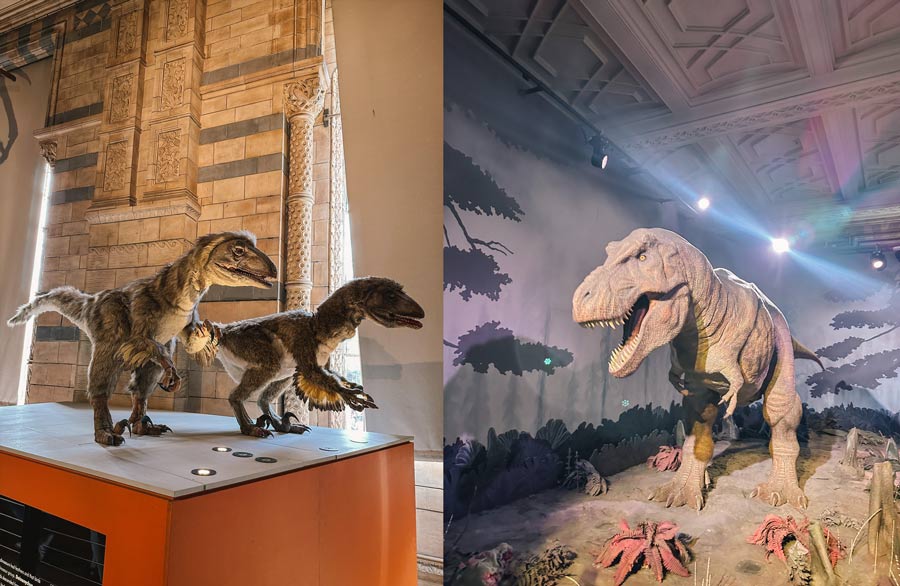 galeria dos dinossauros Museu nacional de História natural